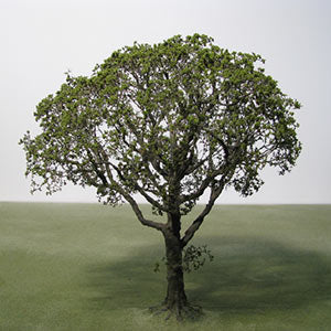 A finished model tree with a twisted wire trunk and green sea foam foliage