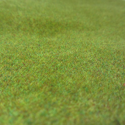 12681_Image.jpg