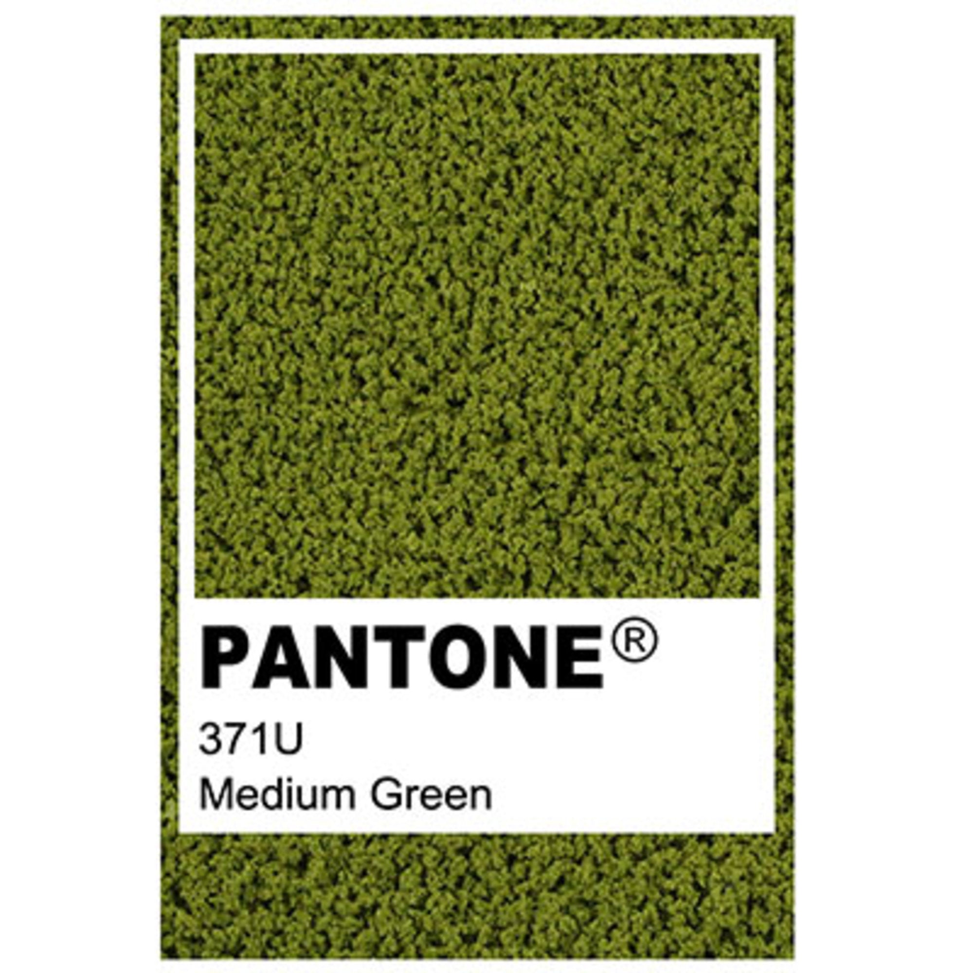 Medium Green String & Wire Tree packs - 6-8mm (10 pcs)