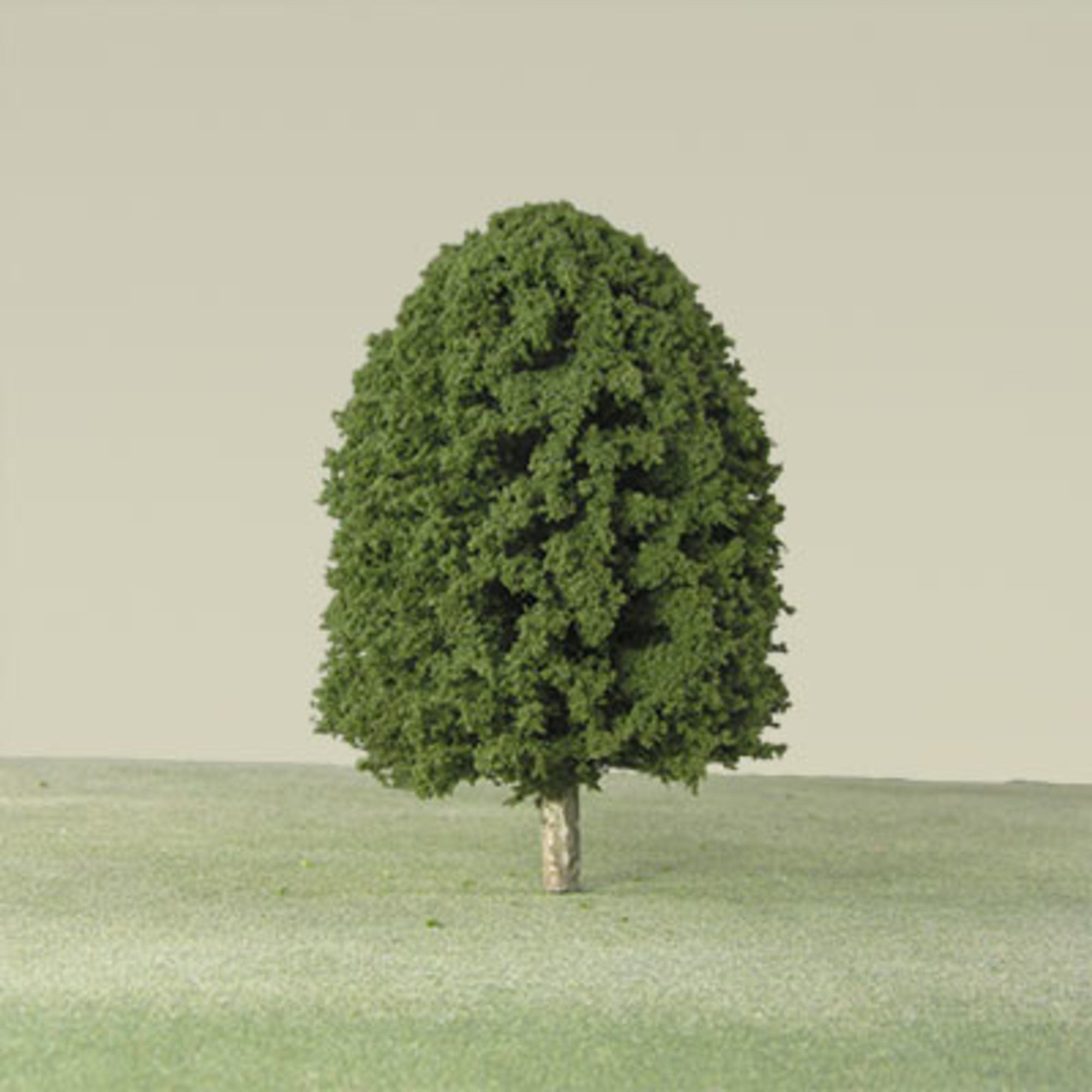 Medium Green String & Wire Tree - 6-8mm