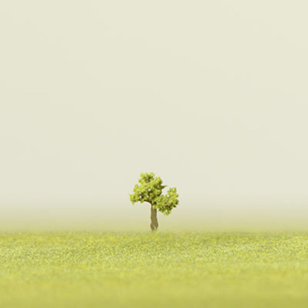 Light Green Etched Tree - 6mm