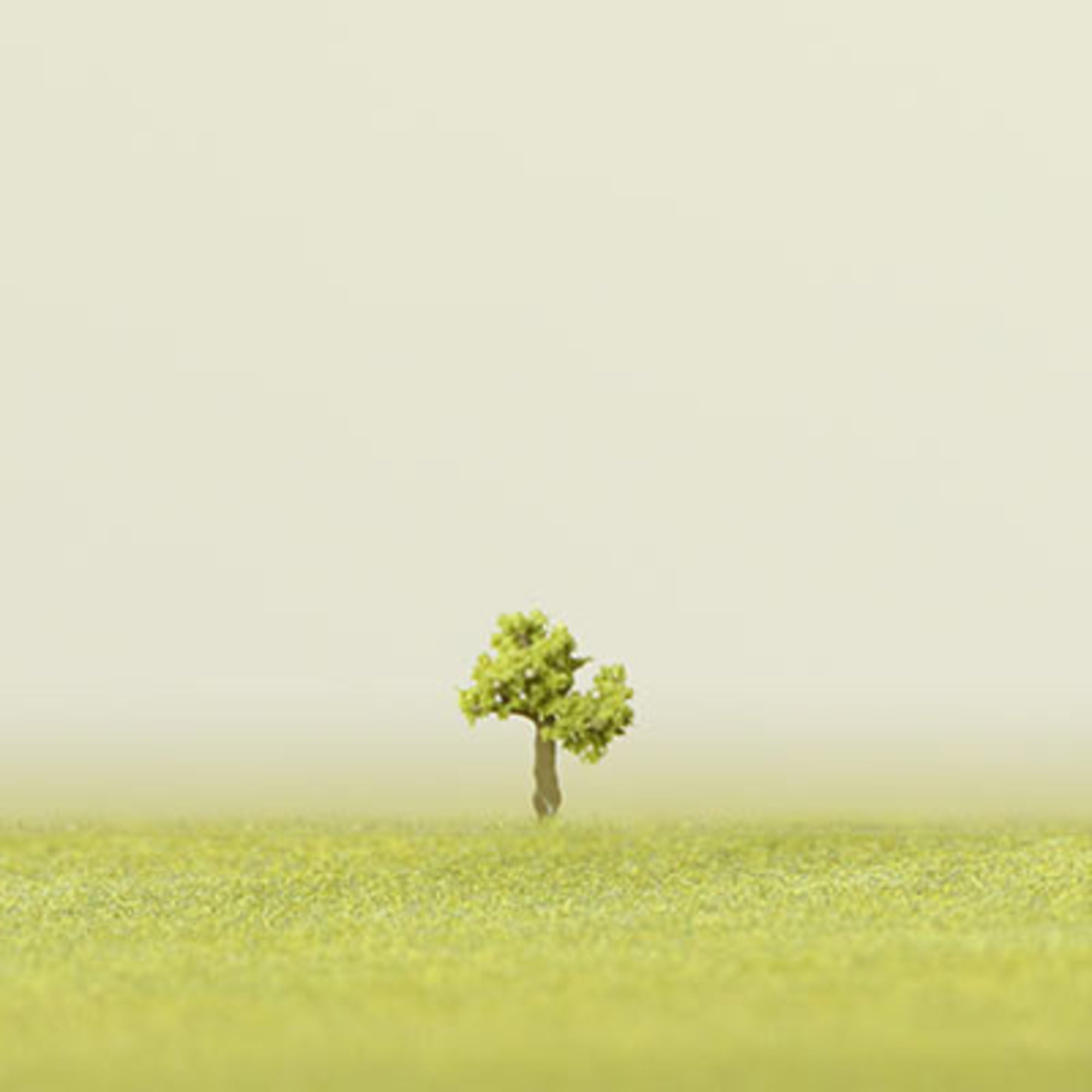 Light Green Etched Tree - 6mm