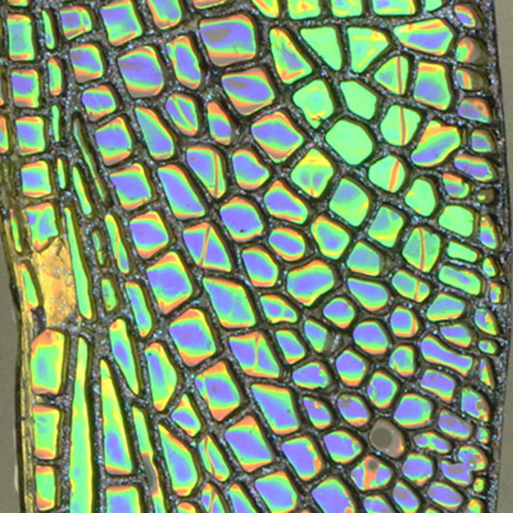 Iridescent film 500mm  2.5m roll
