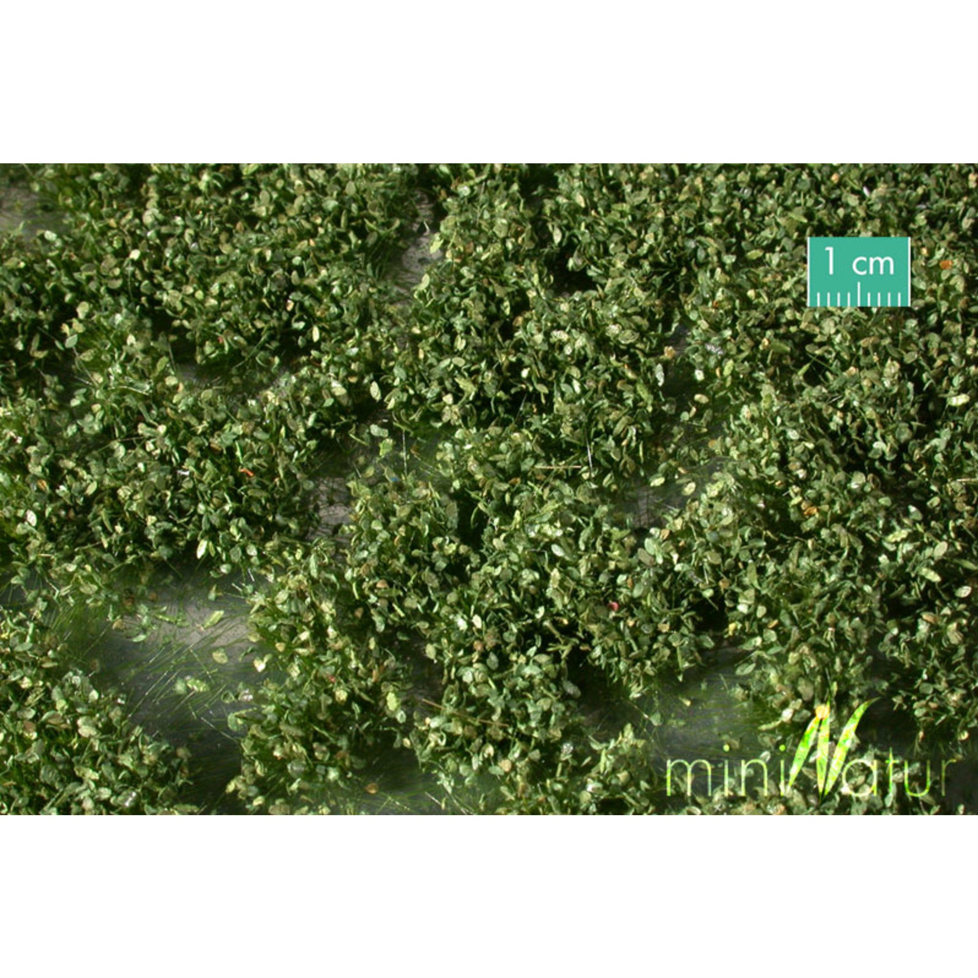 miniNatur Summer ivy