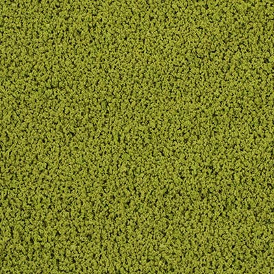 4D Texture