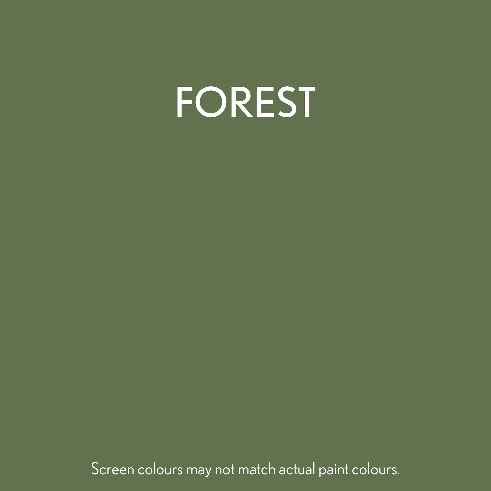 014-forest-swatch.png