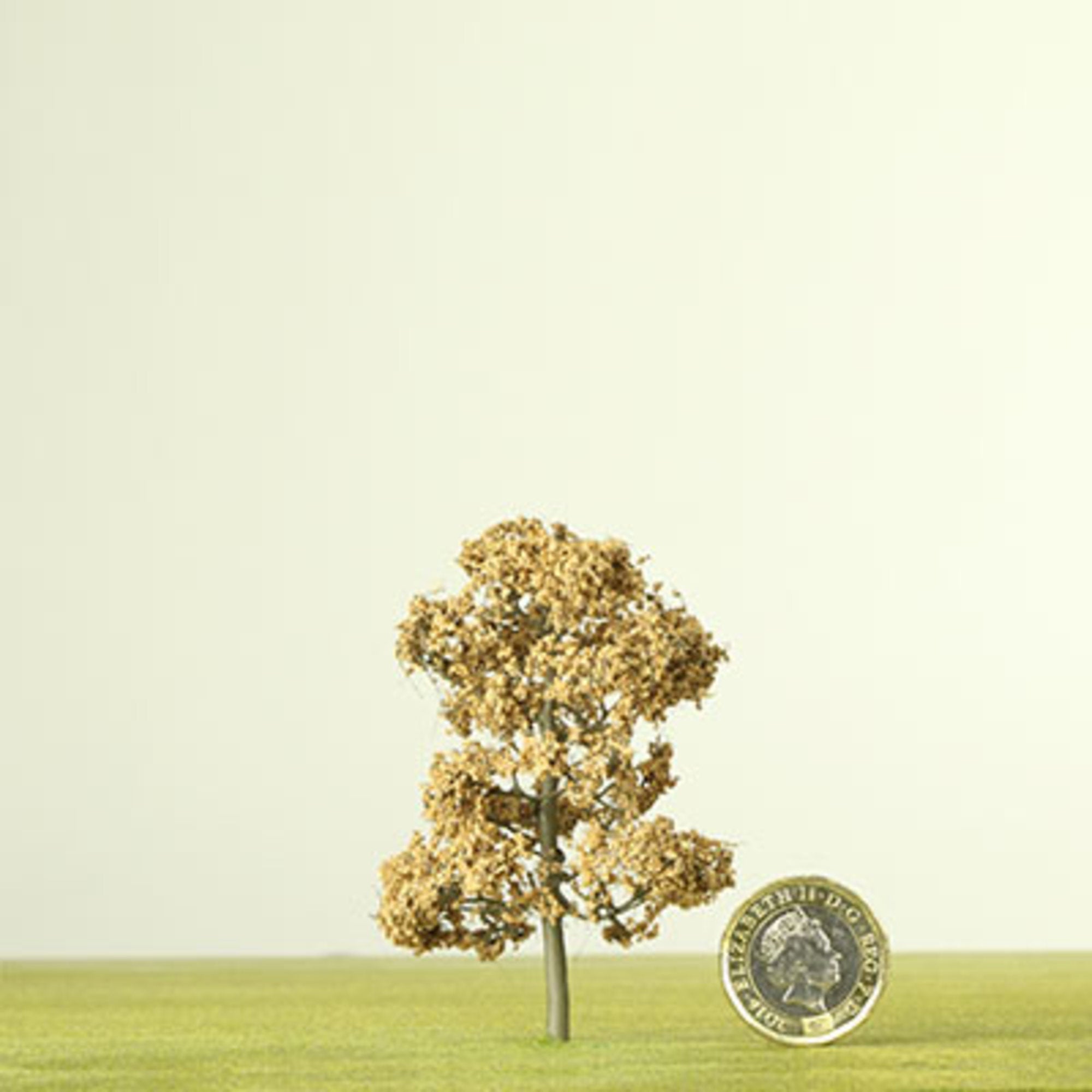 Cork Model Tree - 0.06mm