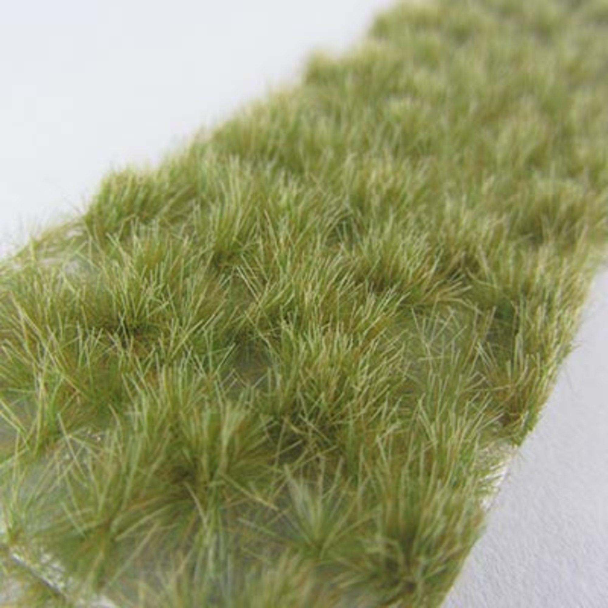 1:87 Calcareous Tufts Late Fall