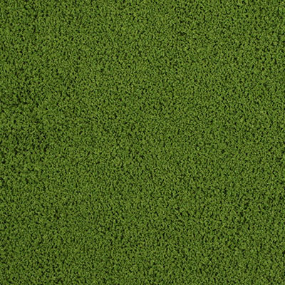 4D Texture