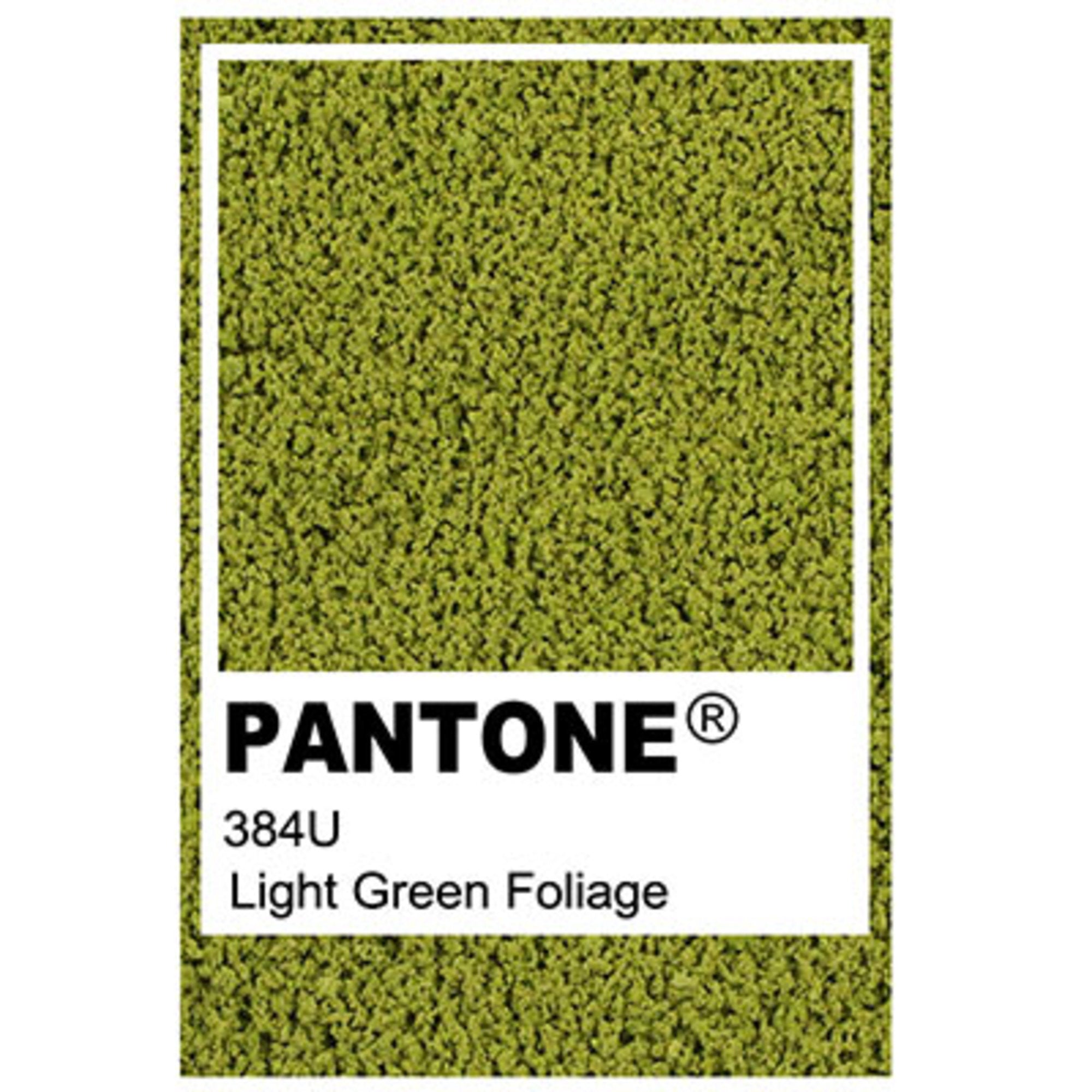 Light Green String & Wire Tree Packs - 6-8mm (10 pcs)