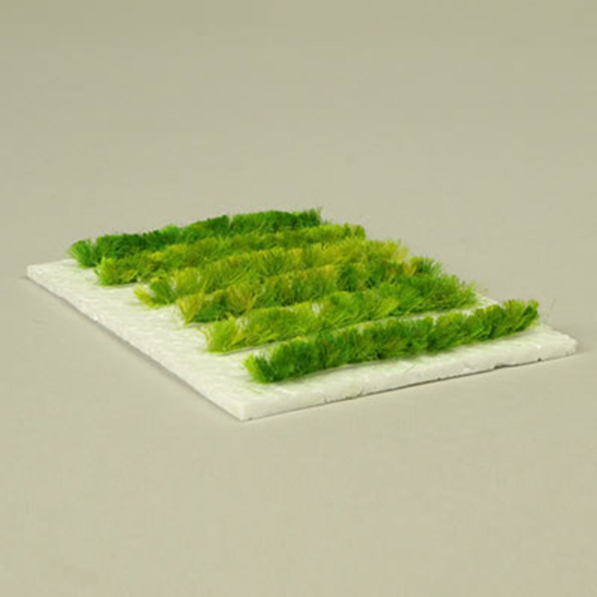 Pathway '5mm' (6 pcs) Light Green