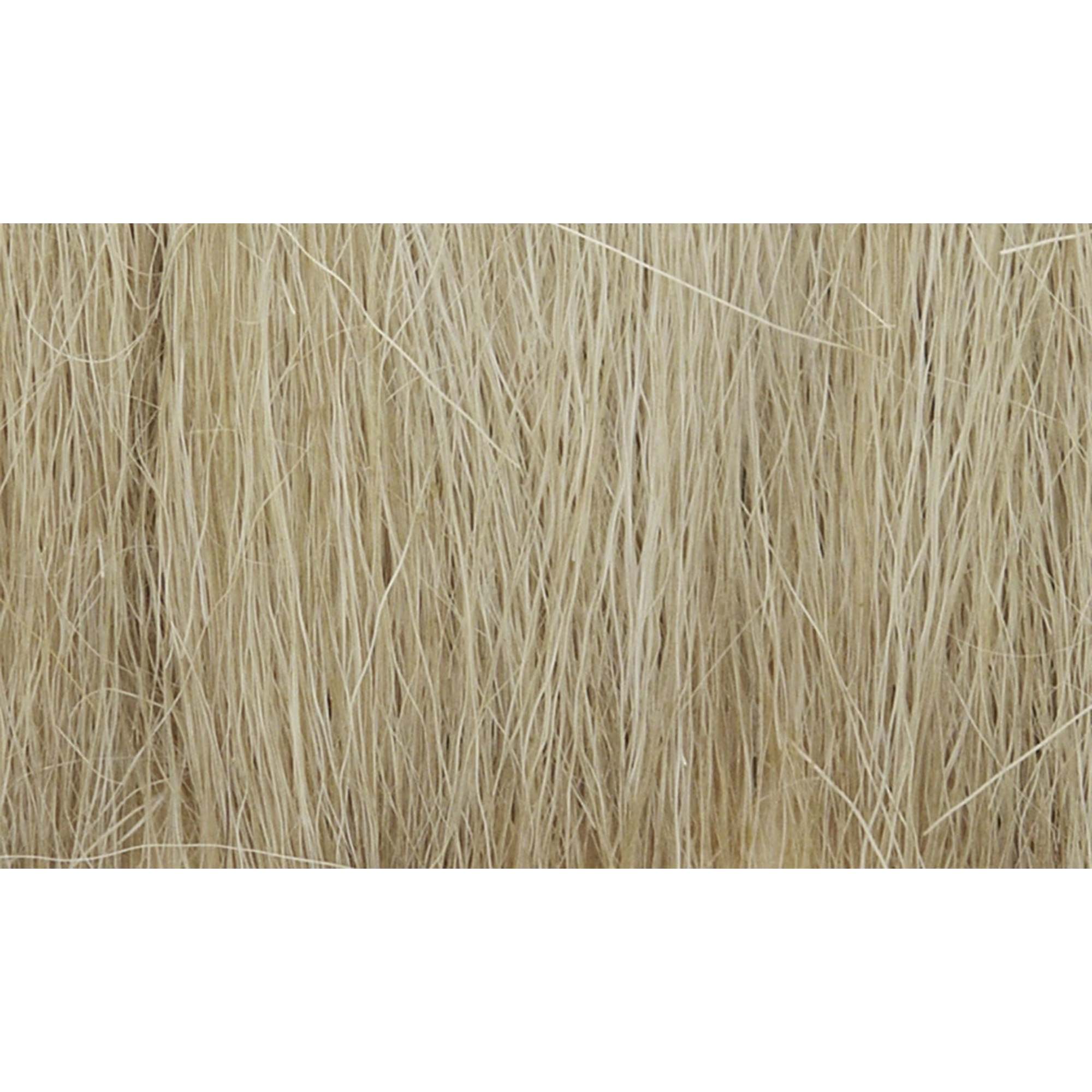 Field Grass Medium Green