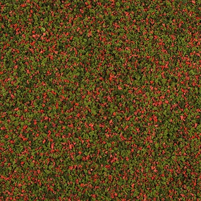 11353_Image.jpg