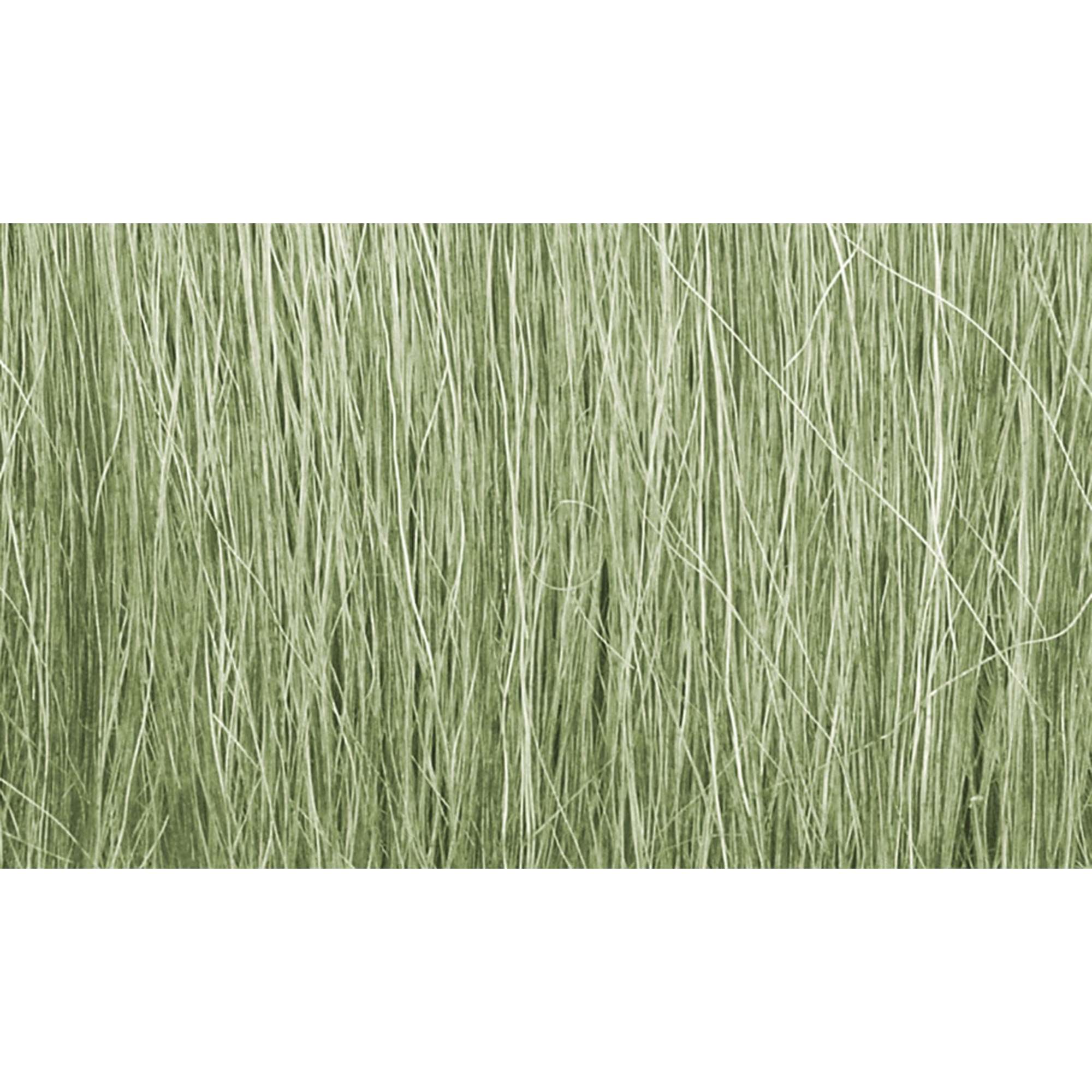 Field Grass Medium Green