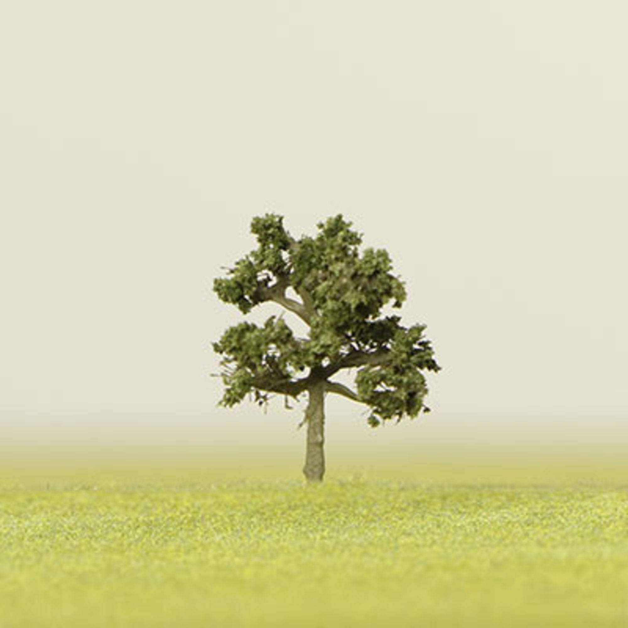 Dark Green Etched Tree - 6mm