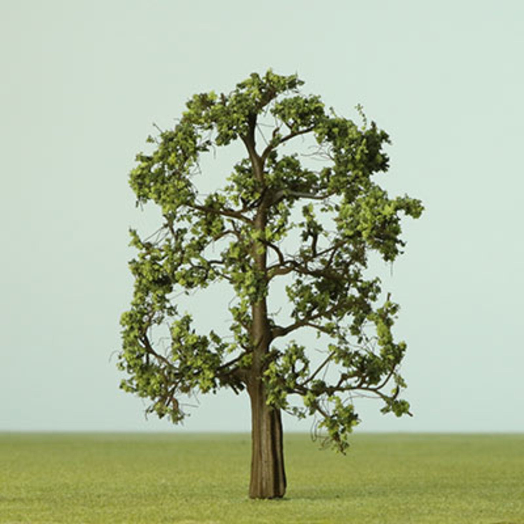 Dappled Green Etched Tree - 35mm