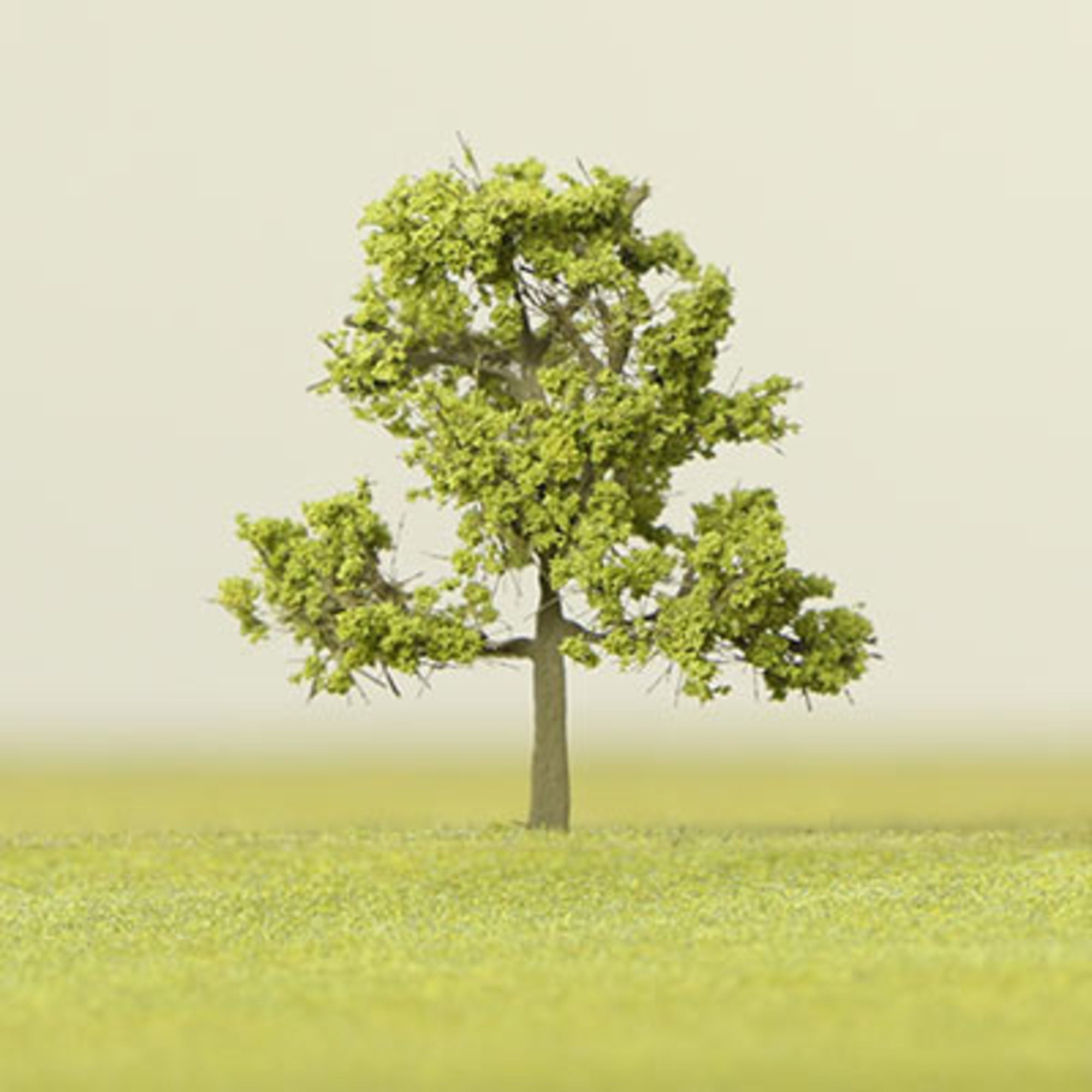 Light Green Etched Tree - 6mm