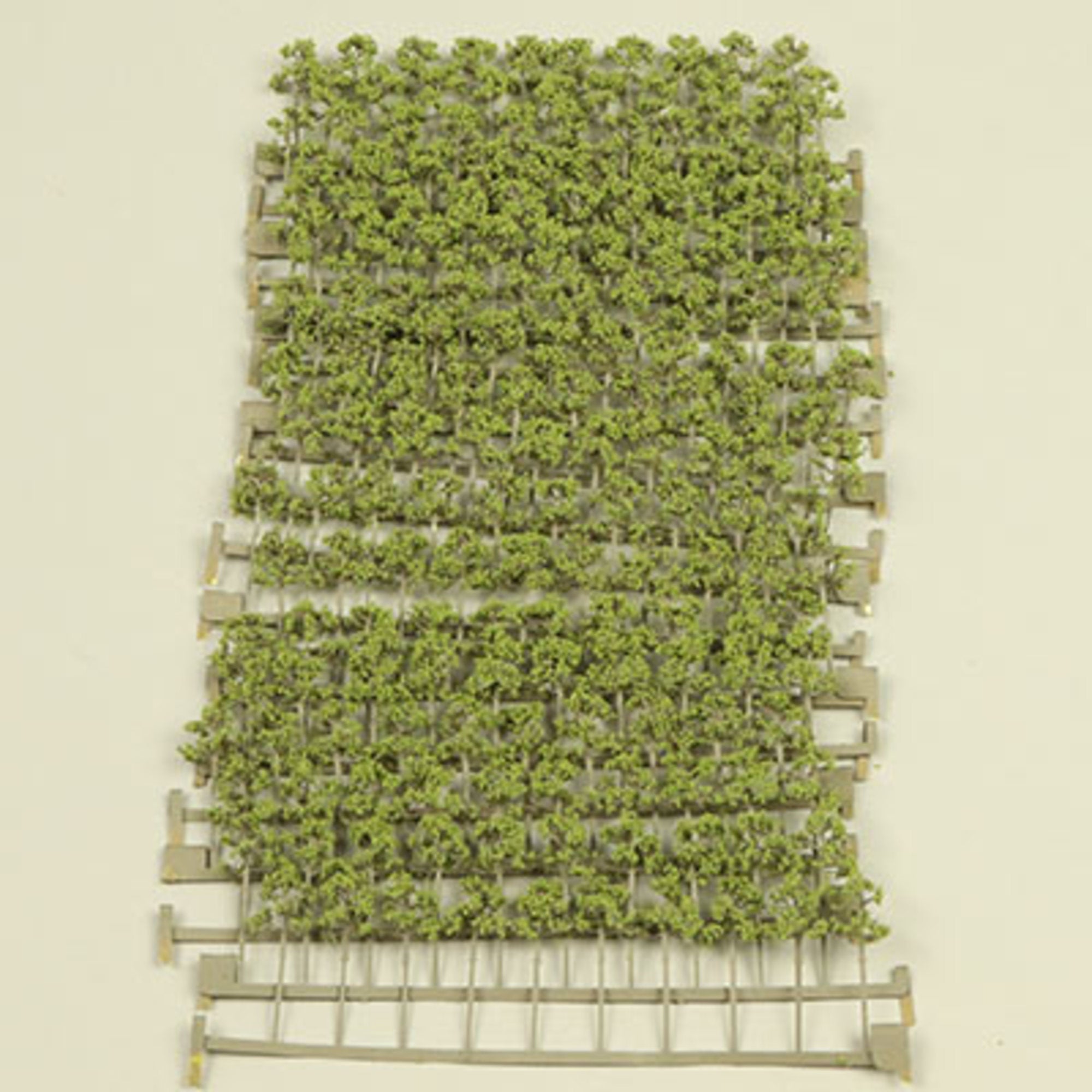 Light Green Etched Tree Packs - 6mm (300 pcs)