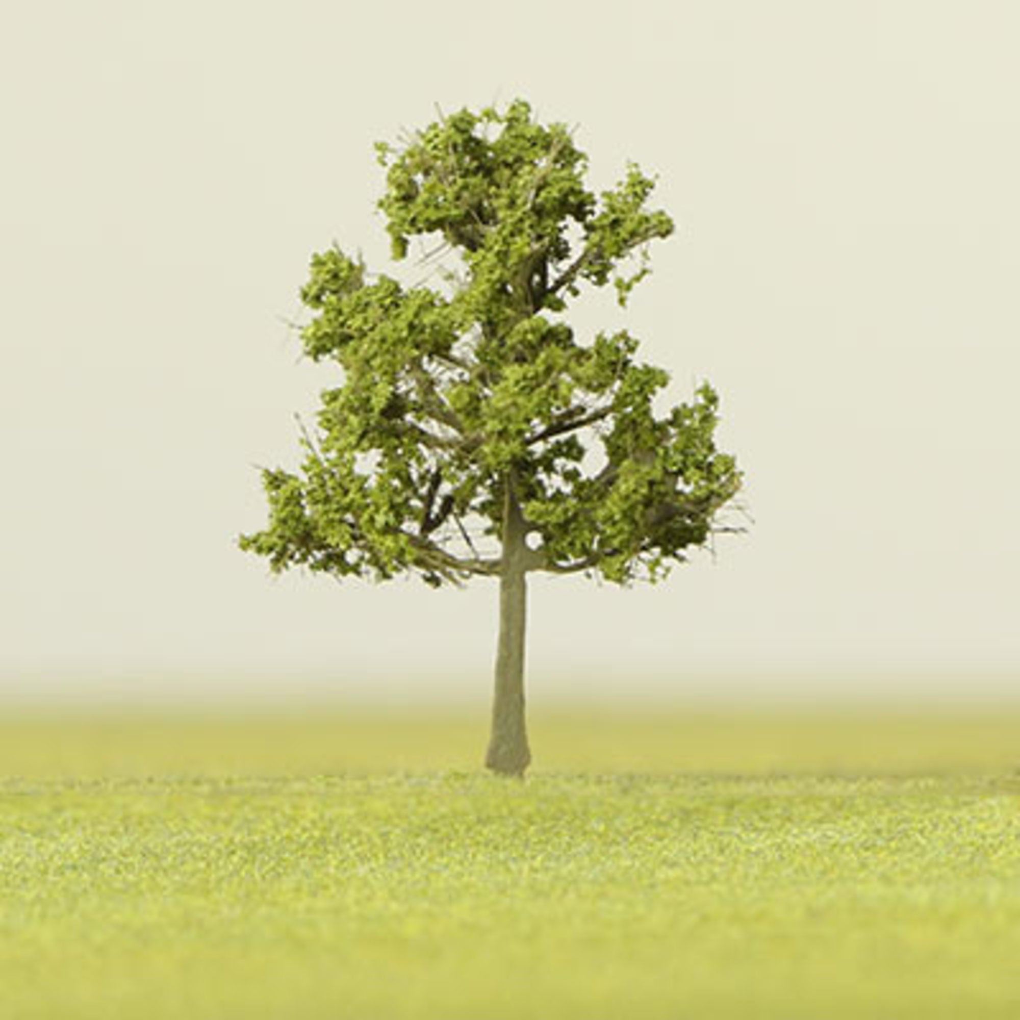 Medium Green Etched Tree - 6mm