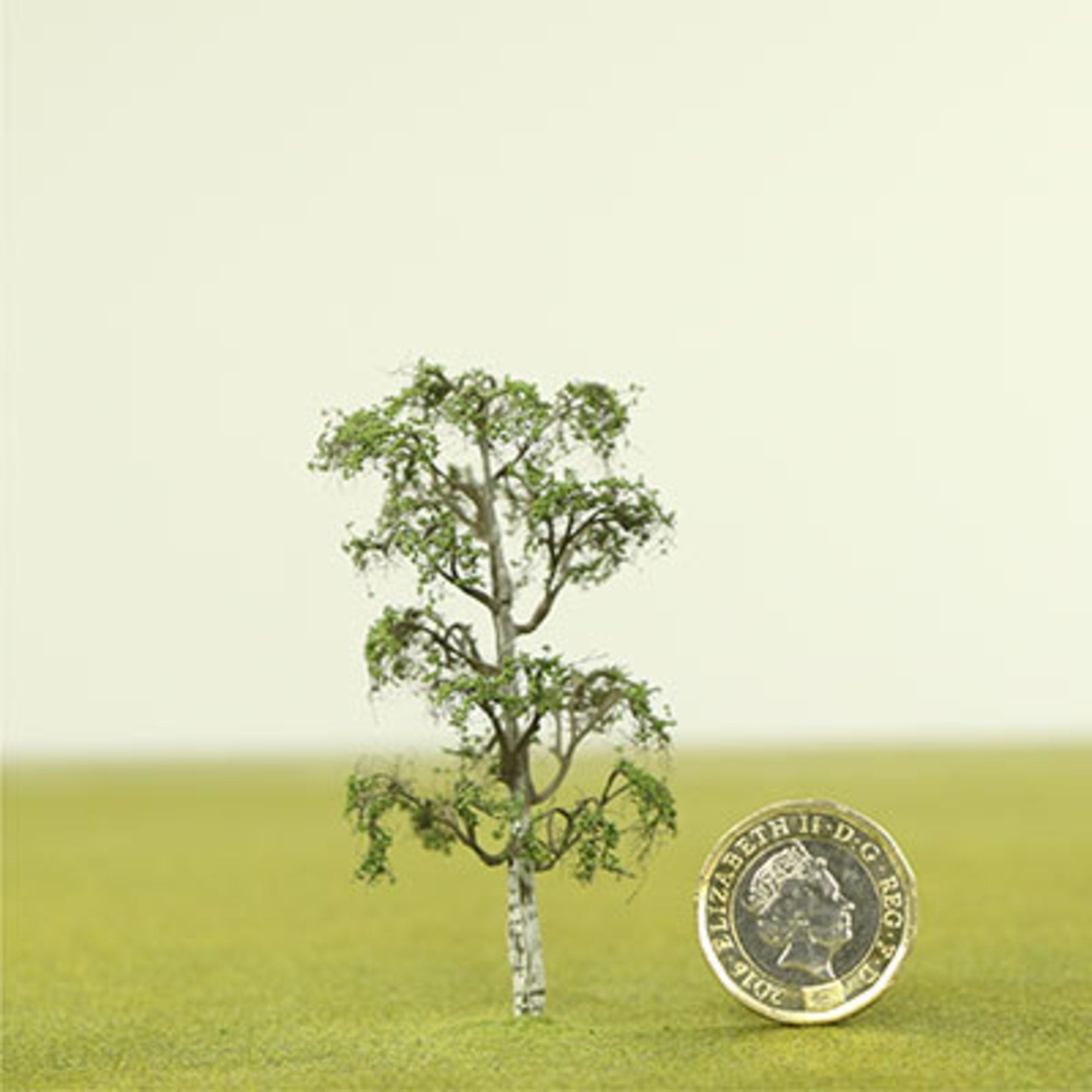 Silver Birch Model Tree - 0.50mm