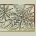 1:12-1:50 Etched Ferns