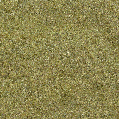 5793_Image.jpg