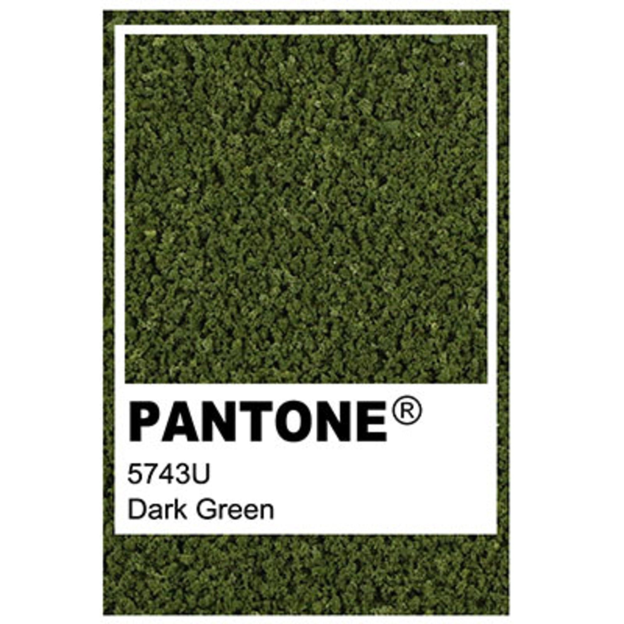 Scots Pine Model Tree - 0.42mm