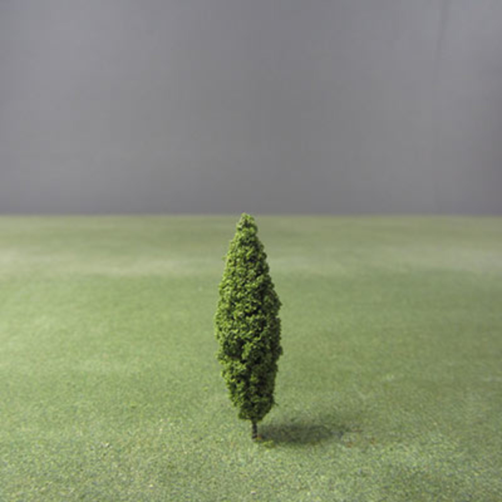 Poplar Green Model Tree - 0.30mm