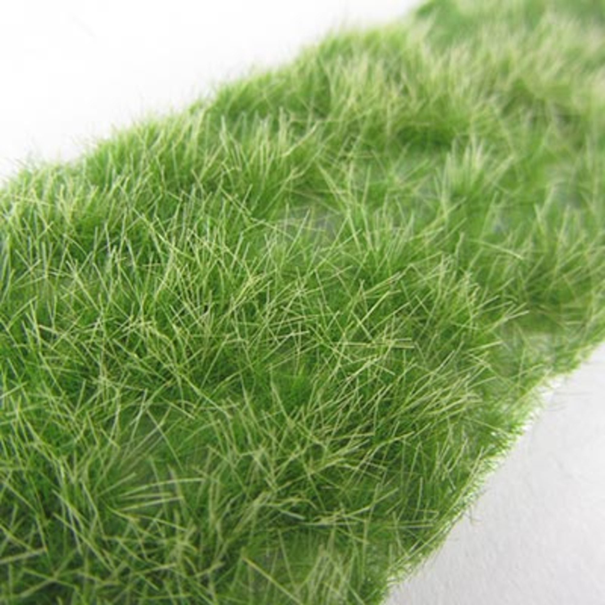 1:87 Calcareous Tufts Late Fall