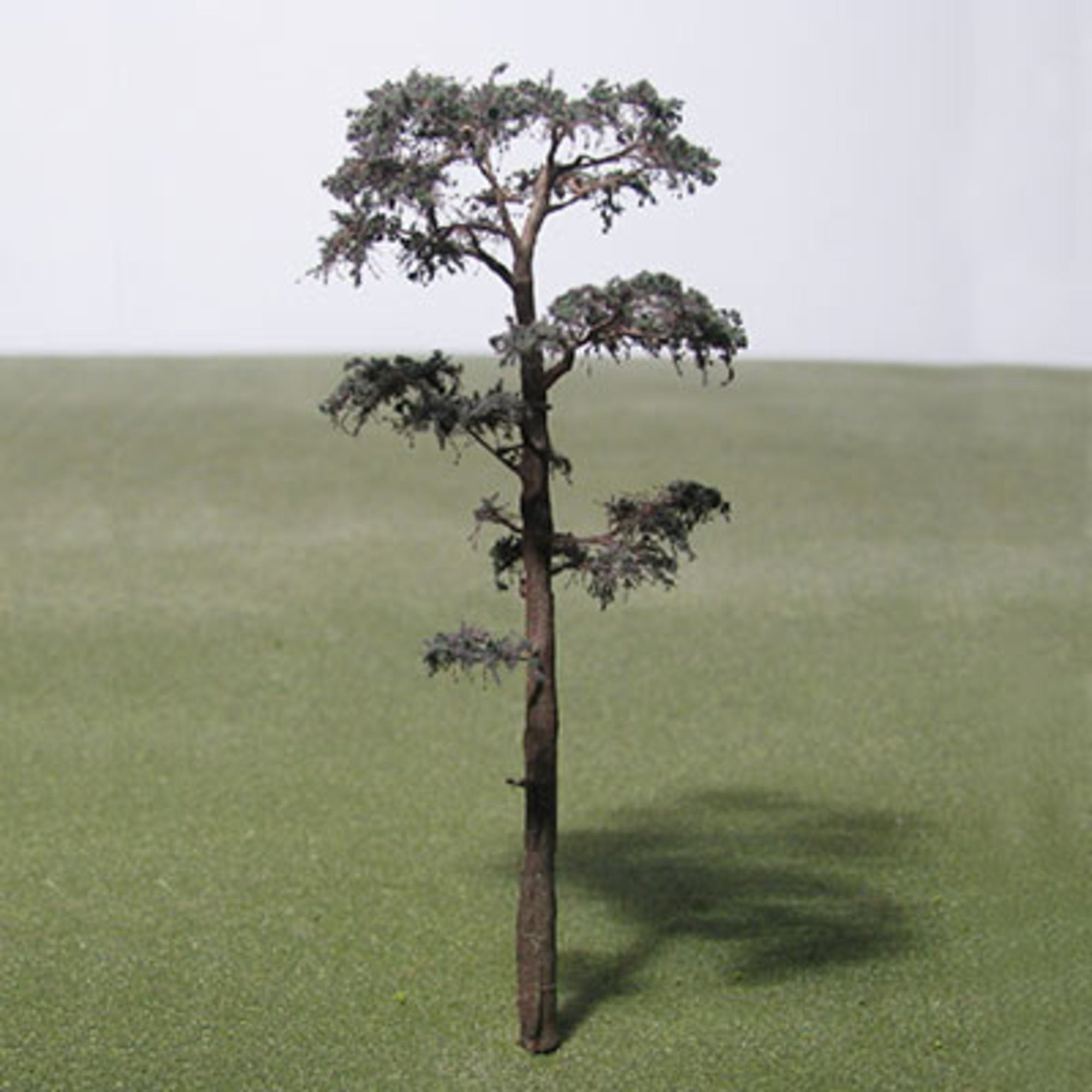 Scots Pine Model Tree - 0.42mm