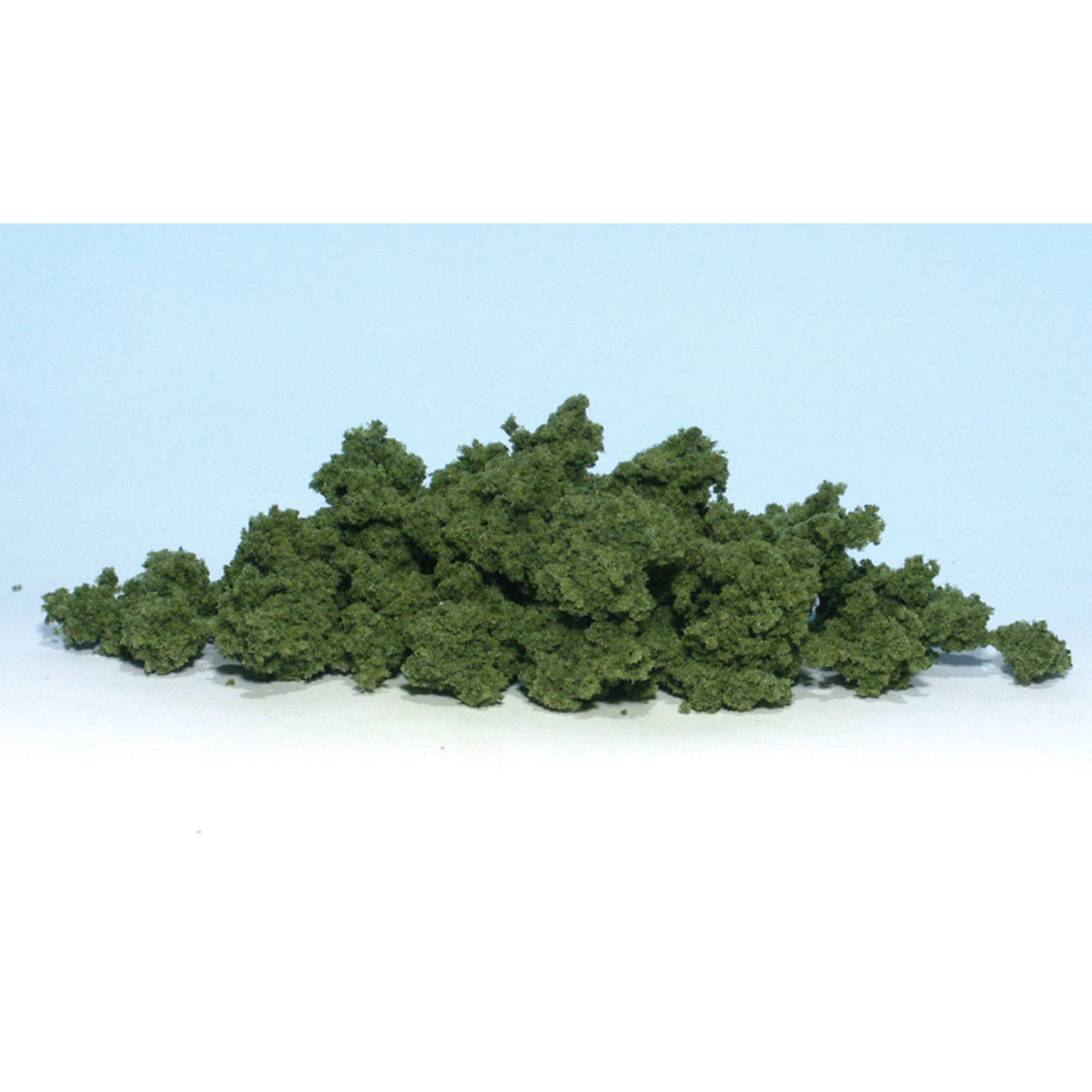 Clump Foliage Medium Green