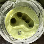 4DXCL30000-4 [file:4DXCL30000-4.jpg] Alginate