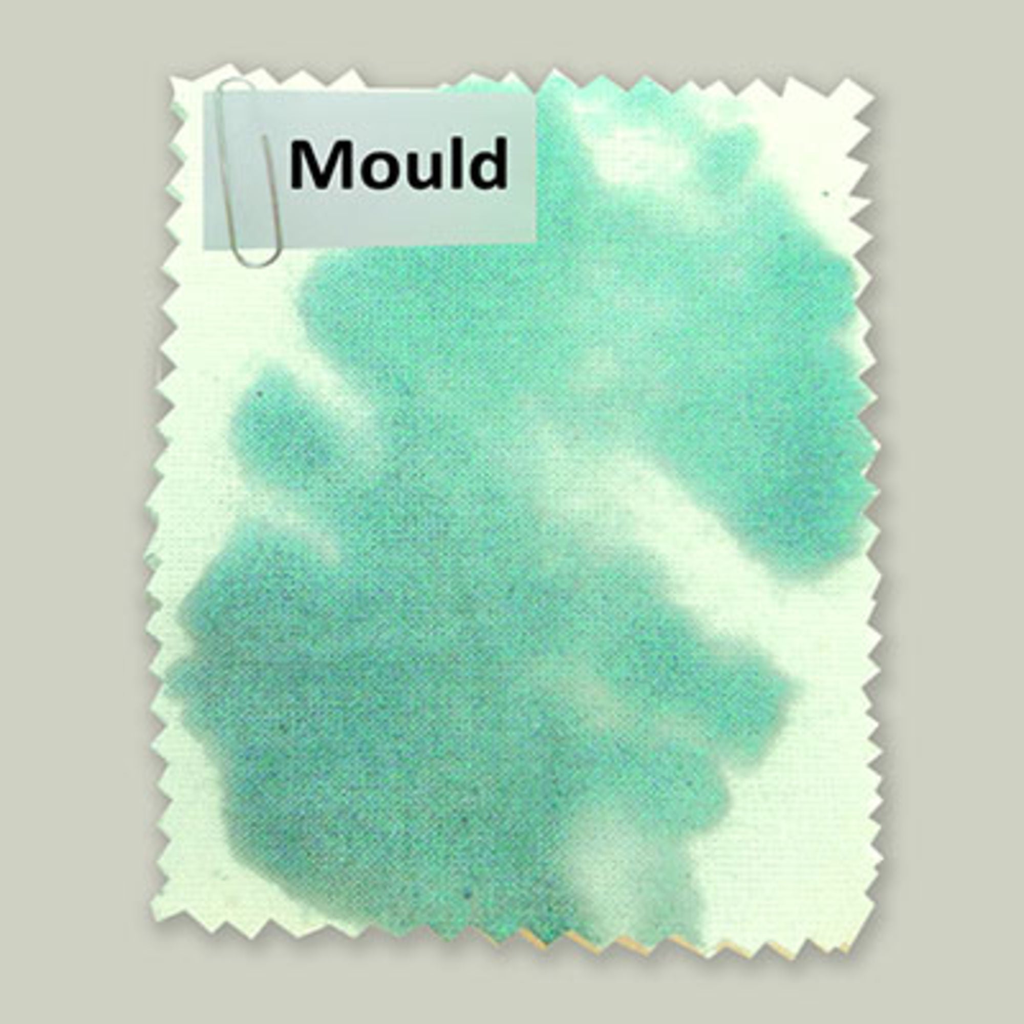 4DXFT20408 [file:4DXFT20408-1.jpg] Dirty Down Ageing Spray - Mould