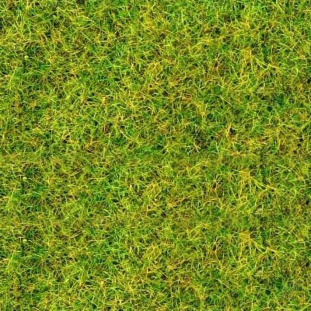 Main image - 4DXLG20034