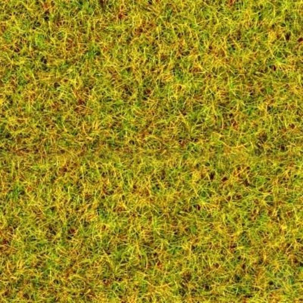 Main image - 4DXLG20035
