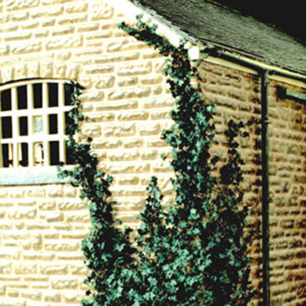 miniNatur Weed Tufts