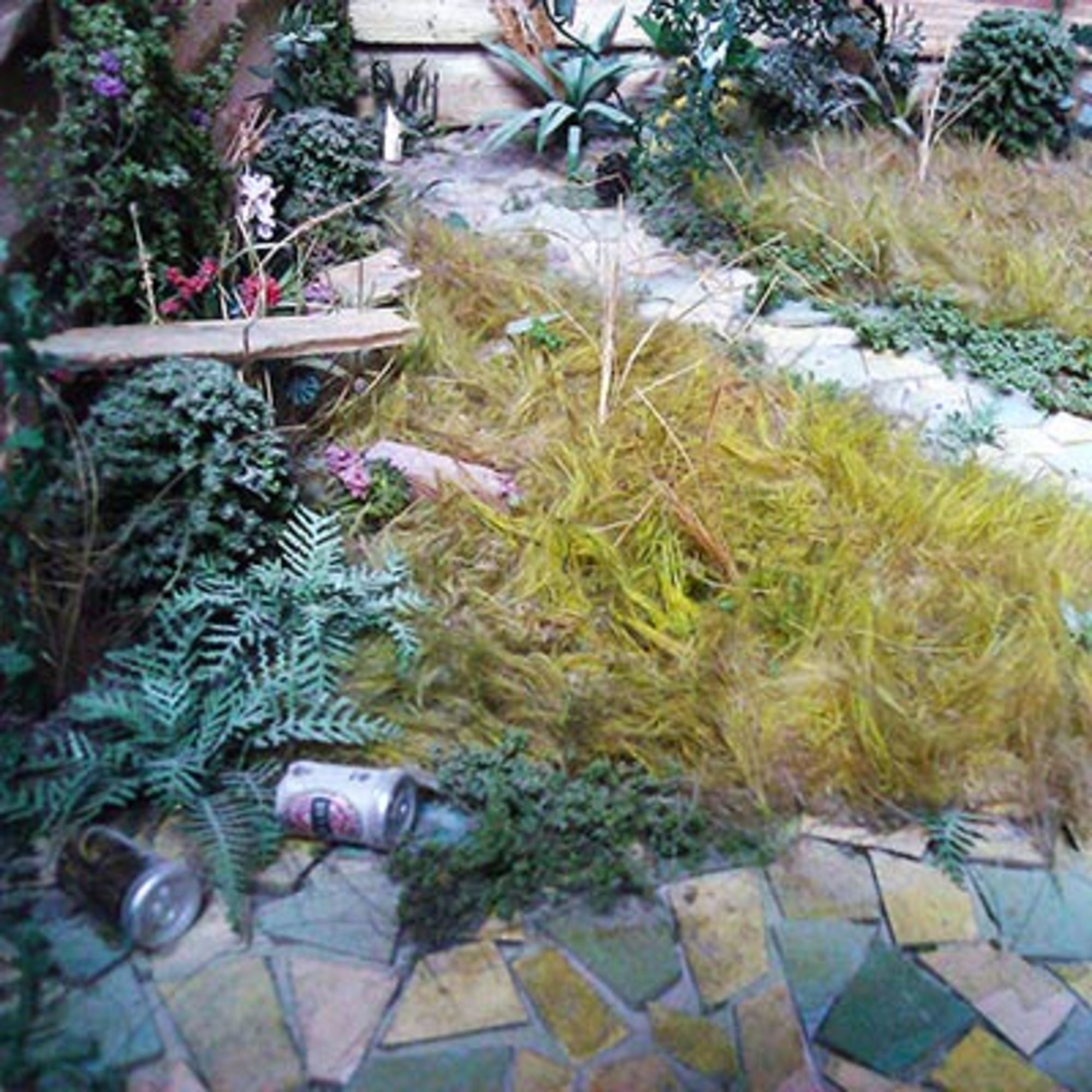 4DXLP00000-3 1:12-1:50 Etched Ferns