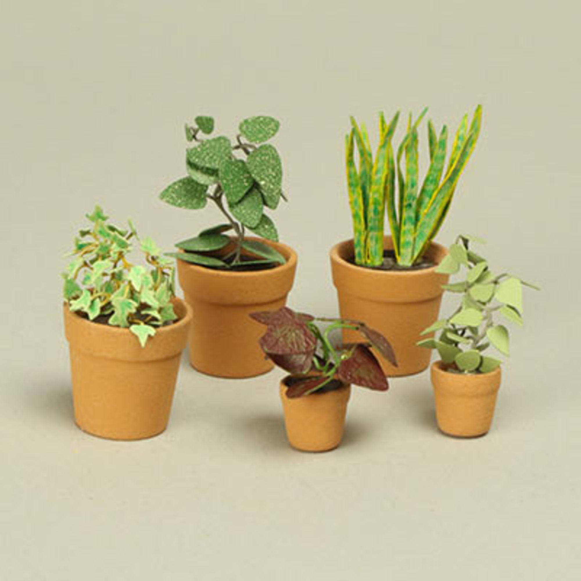 4DXLP00001-5 1:12-1:50 Etched Plants