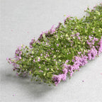 4DXLP00019-1 [file:4DXLP00019-1.jpg] miniNatur Garden Flowers