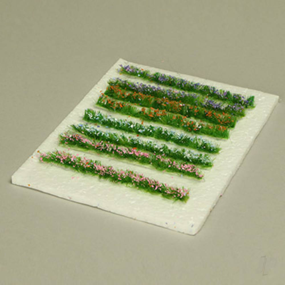 Main image - 4DXLP11052