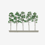 4DXLT05042M [file:4DXLT05042M-1.jpg] Narrow Tree Mid Green, 42mm (5 pcs)