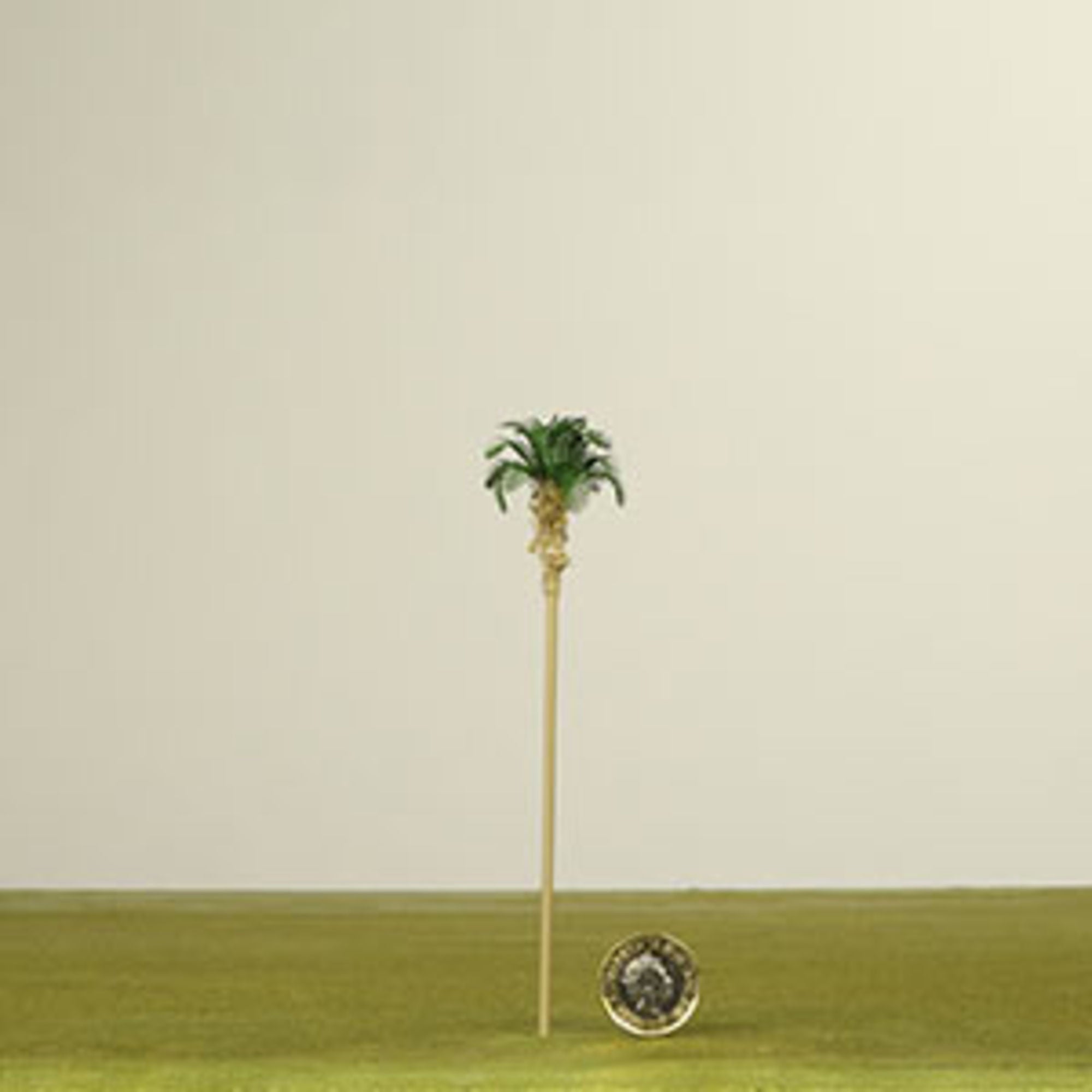 4DXLT30203-1 Palm Tree Dark Green
