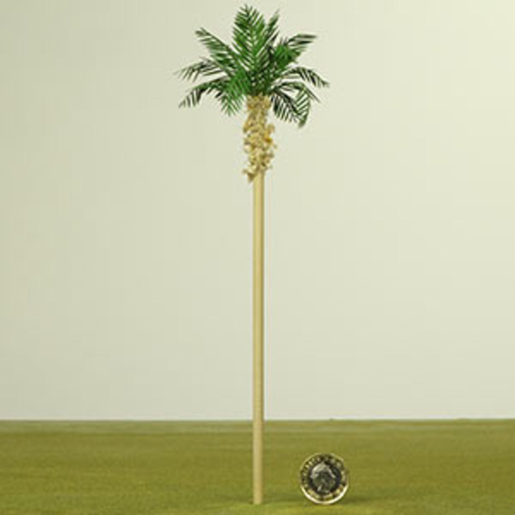 4DXLT30203-3 Palm Tree Dark Green