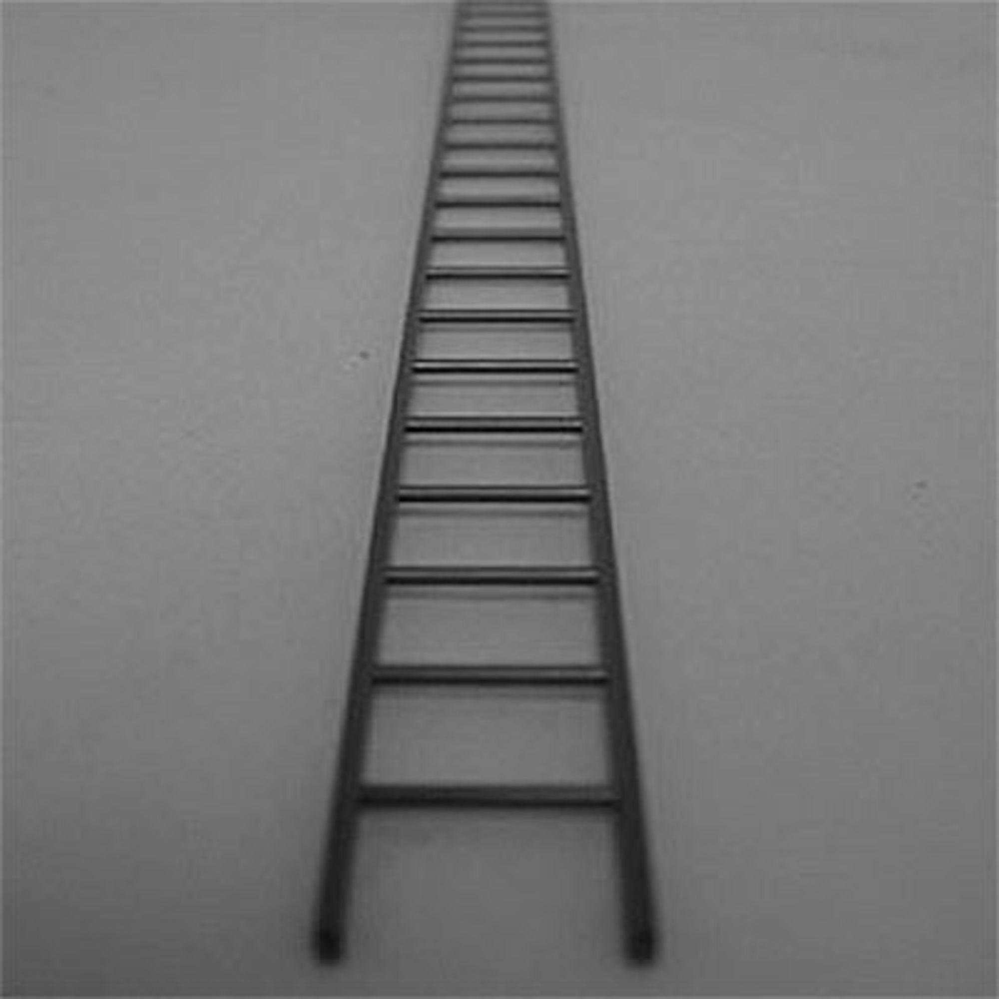 4DXML10001-1 1:25 Ladder 19  380mm