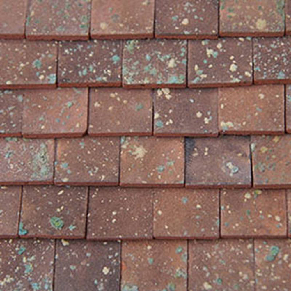 Main image - 4DXMW20200