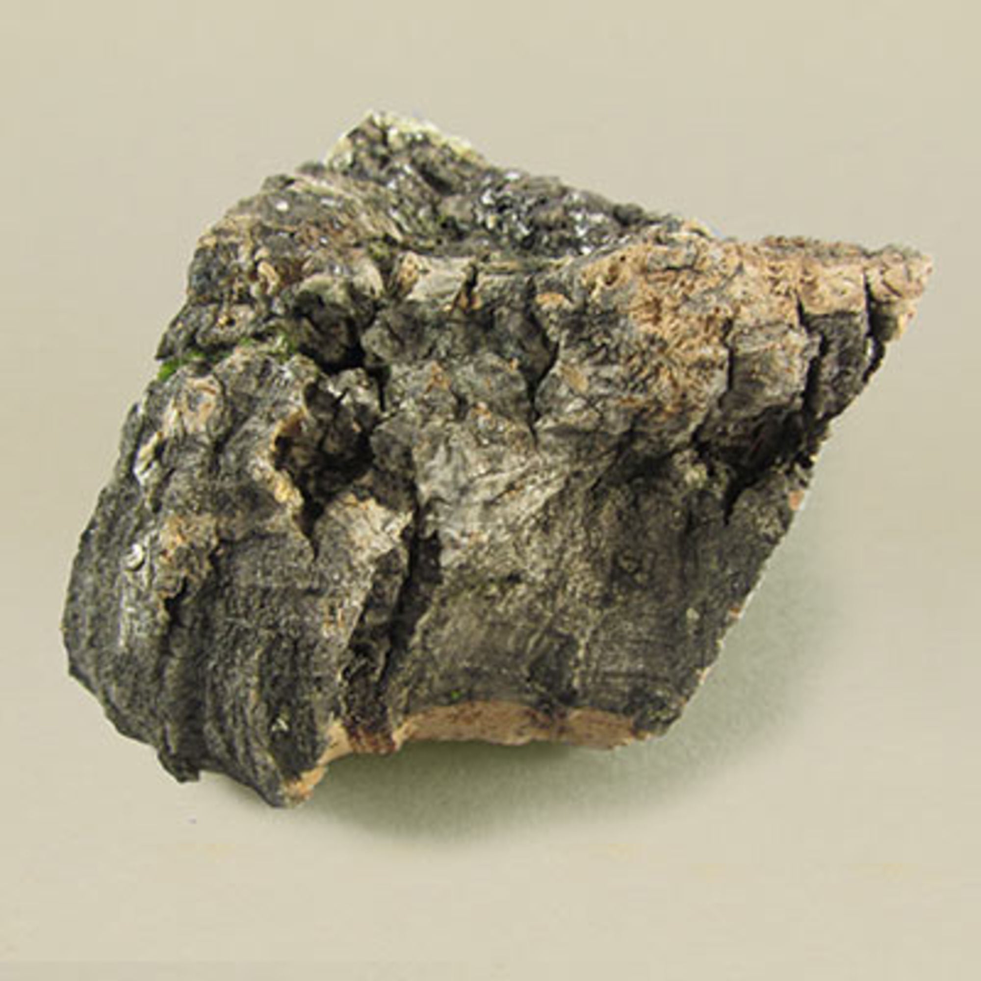 4DXRC30080-1 [file:4DXRC30080-1.jpg] Cork Bark