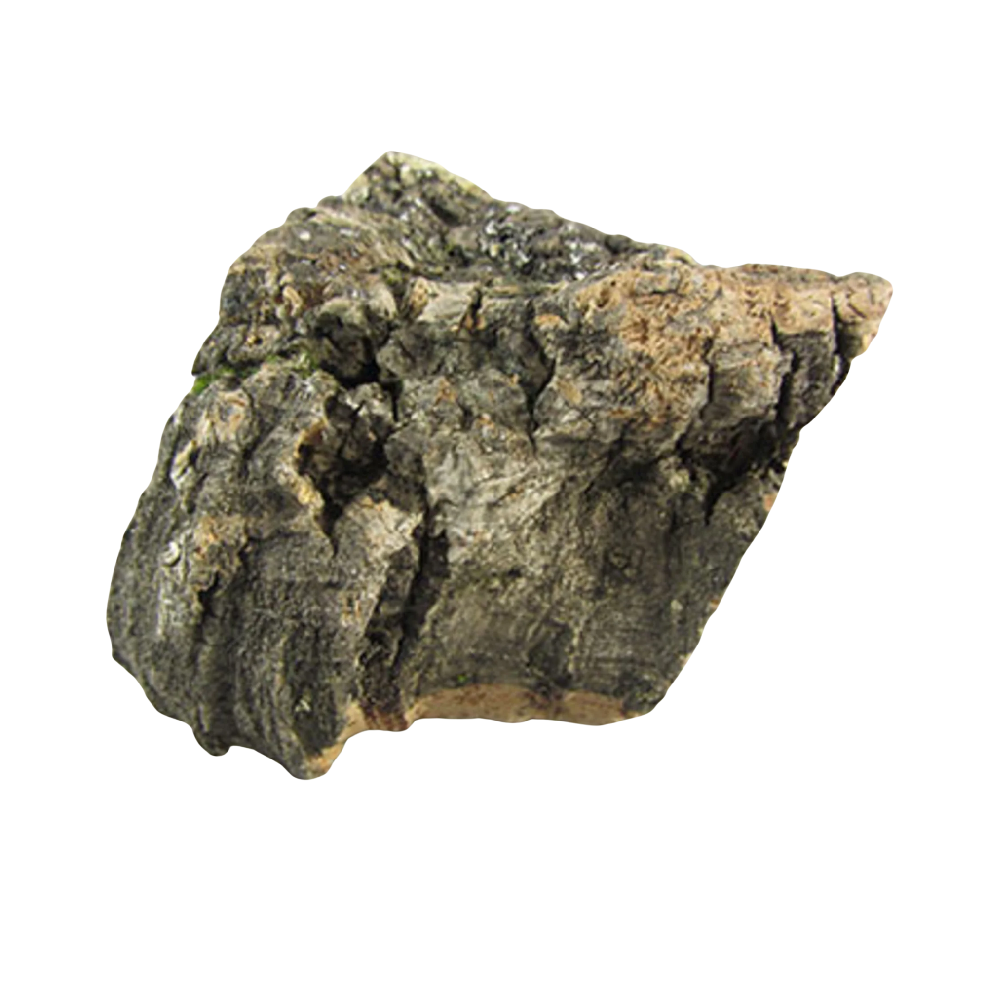 Cork Bark