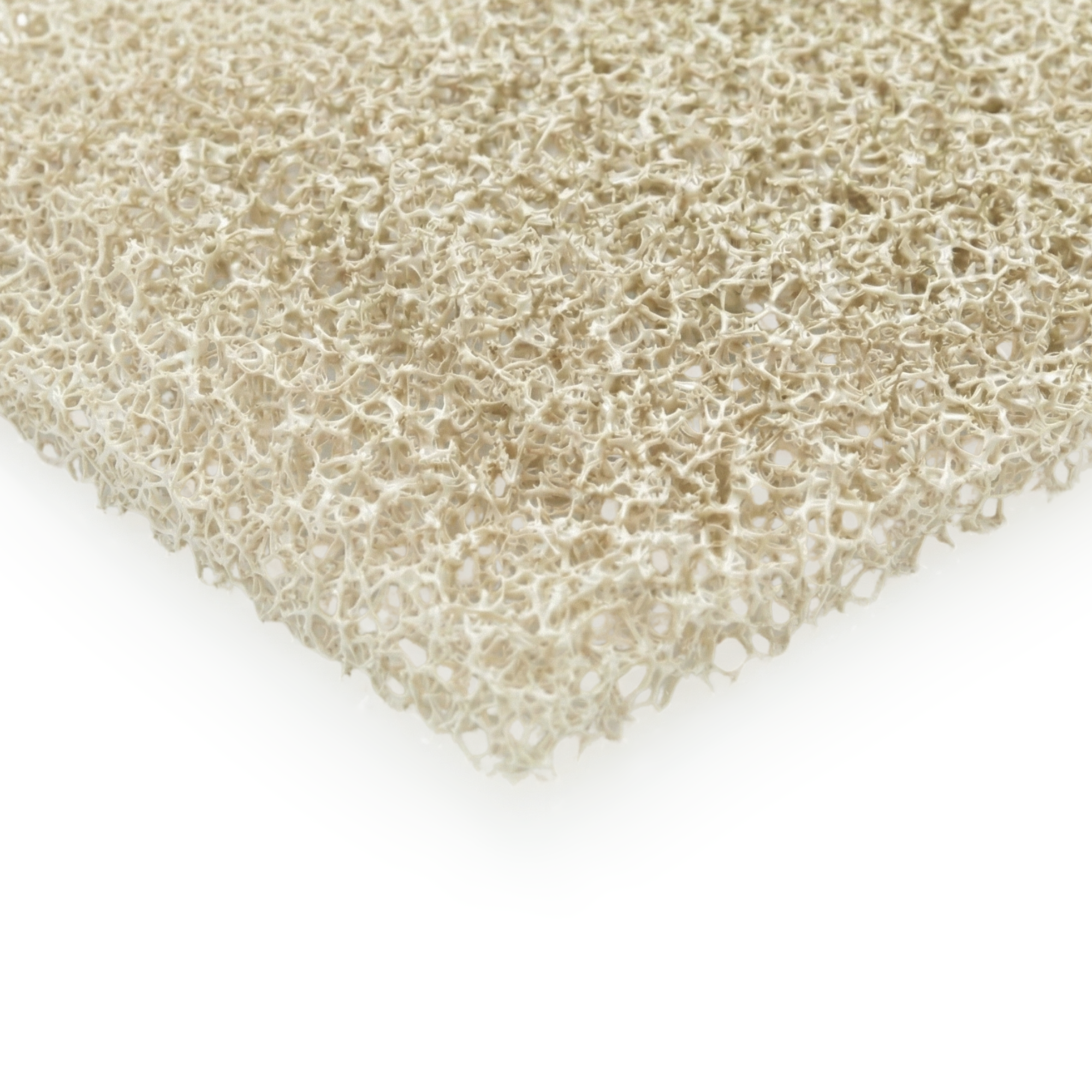 Plant Foam Sheet, Cream