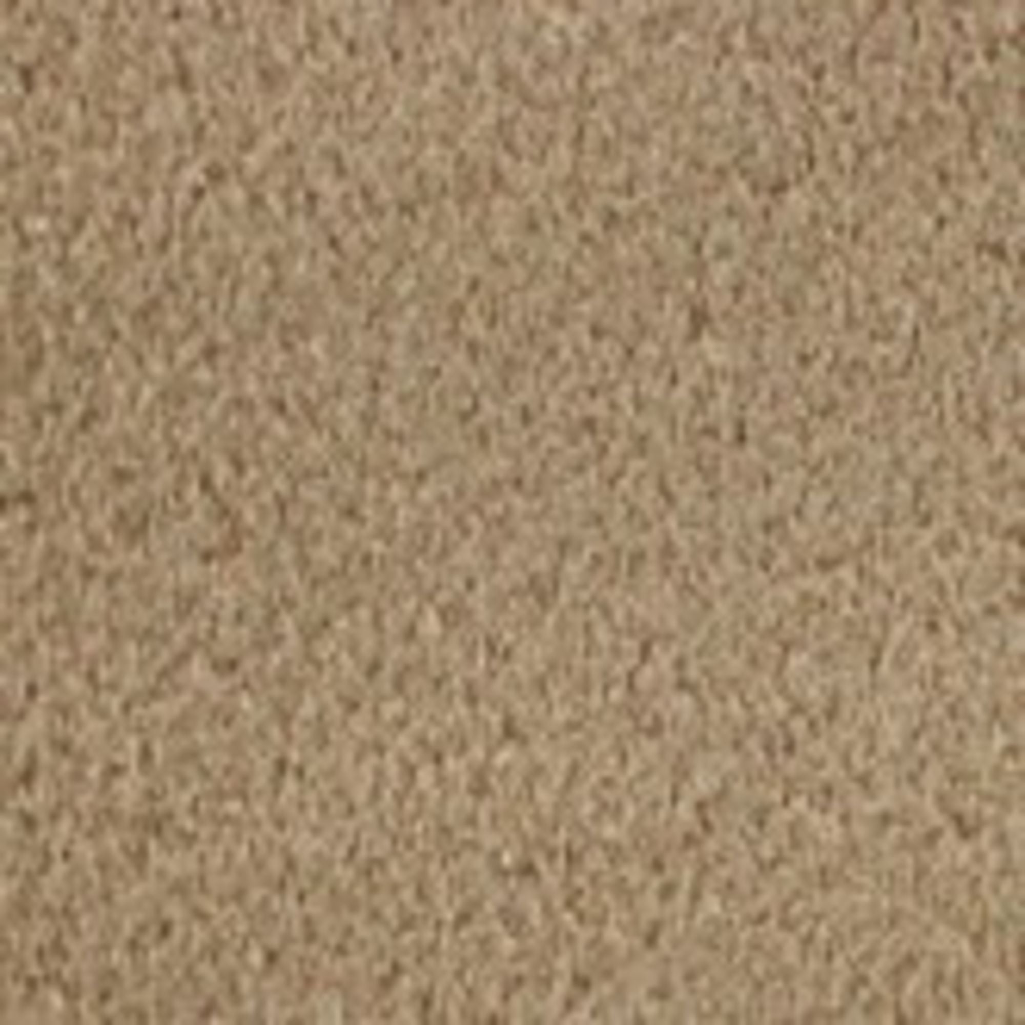 4DXRO20007-2 Carpet Bisque