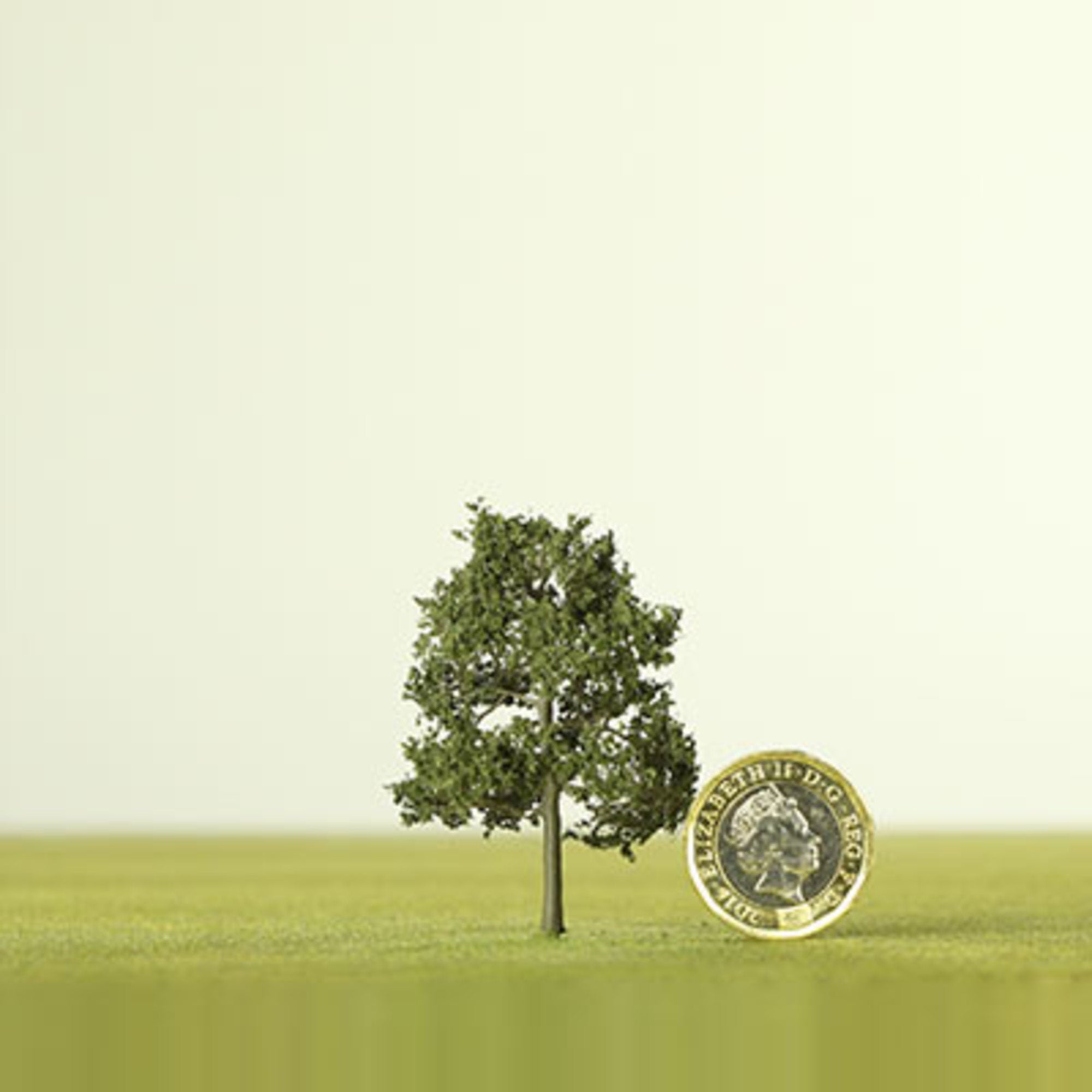 Dark Green Etched Tree - 6mm